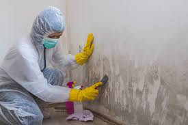 Best Residential Mold Inspection & Testing  in North Conway, NH